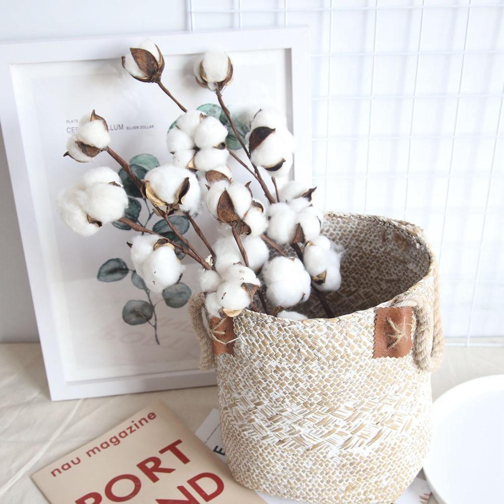 Cotton Stems