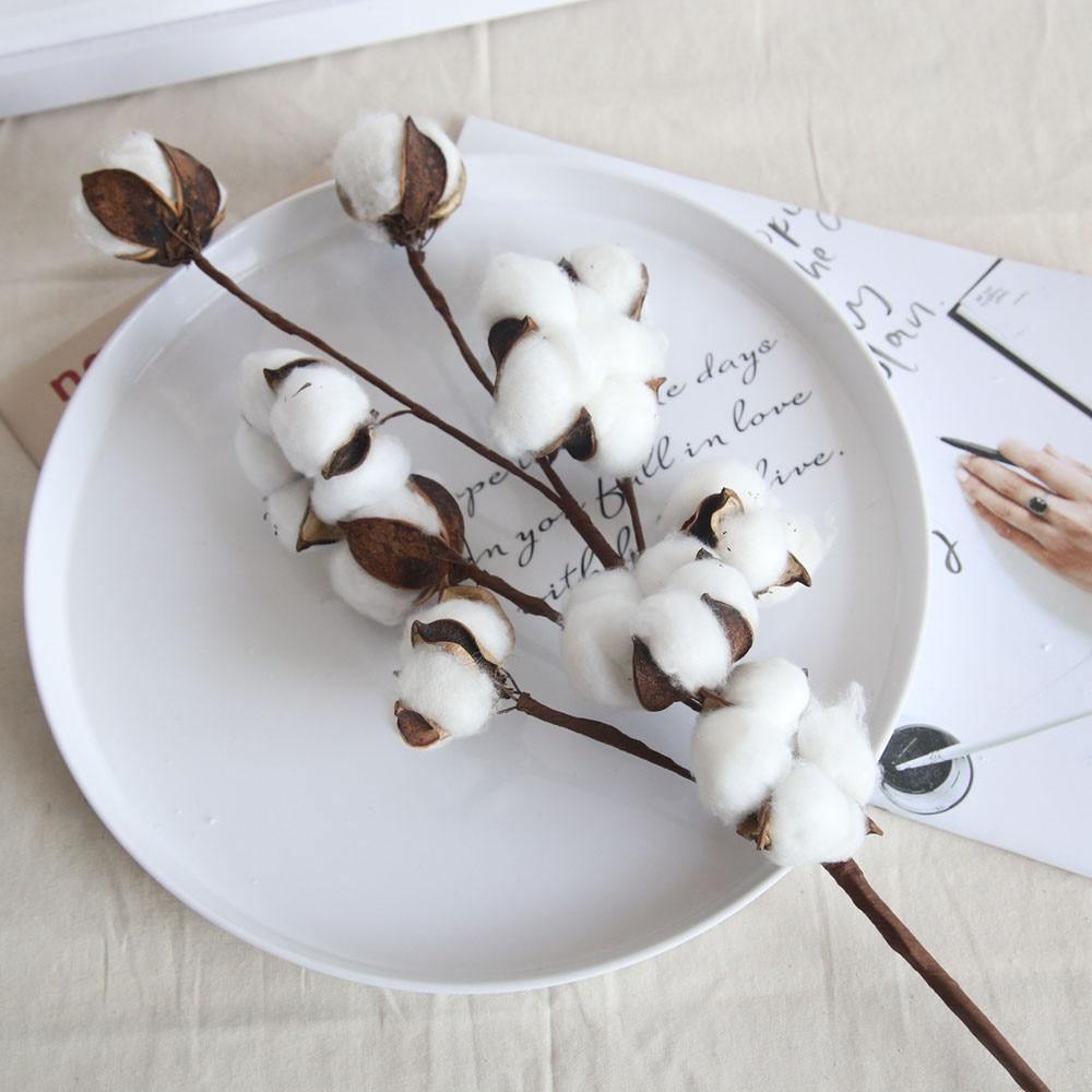 Cotton Stems