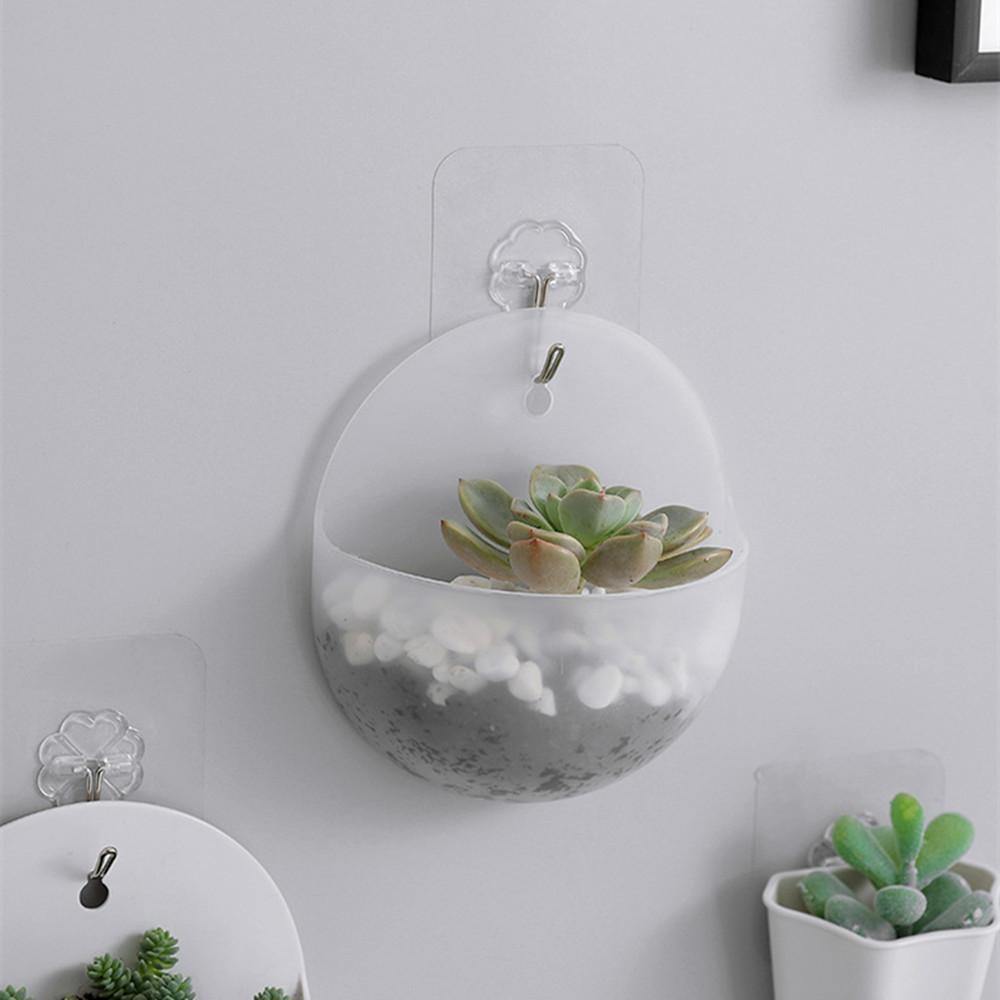 Geometric Hanging Wall Planter Clear / Circle | Sage & Sill